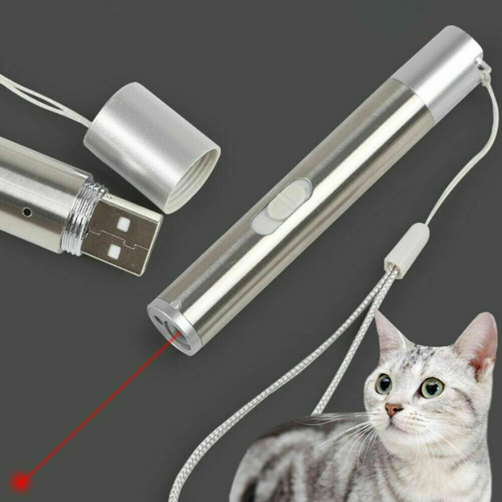 Flashlights & Torches