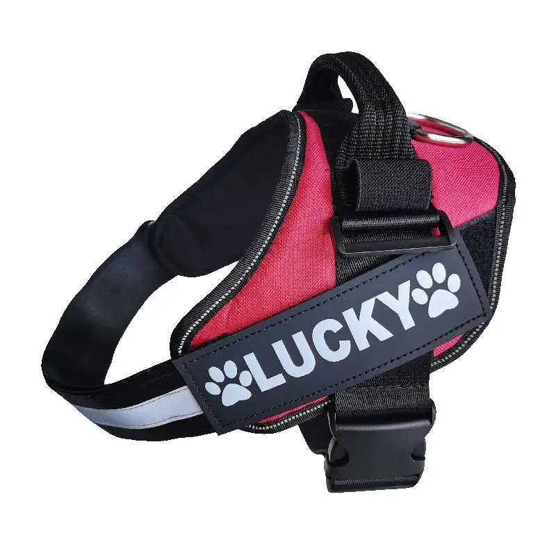 Pet Dog Chest Strap Sign DO NOT