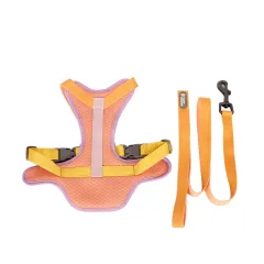 Colourful Harness & Leash Set - Pink - View 1