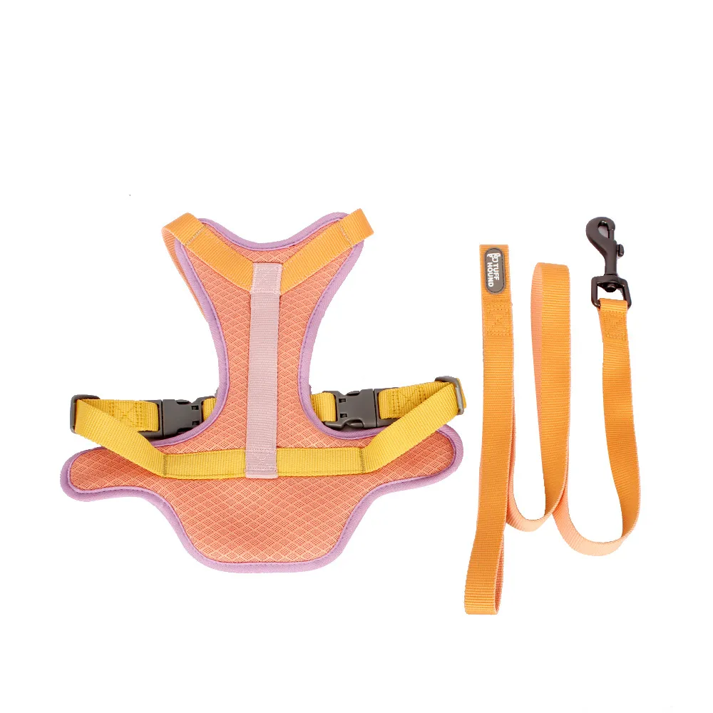 Colourful Harness & Leash Set - Pink