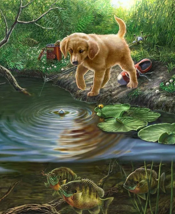 Digital Oil Painting, Coloring Painting, Frameless Oil Painting Photo Color - Shop at LoveMi