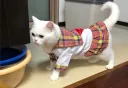 Jk Uniform Pink Plaid
