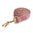Dog Leash1