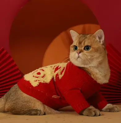 Autumn and Winter Sweaters for Anti Shedding Kittens
