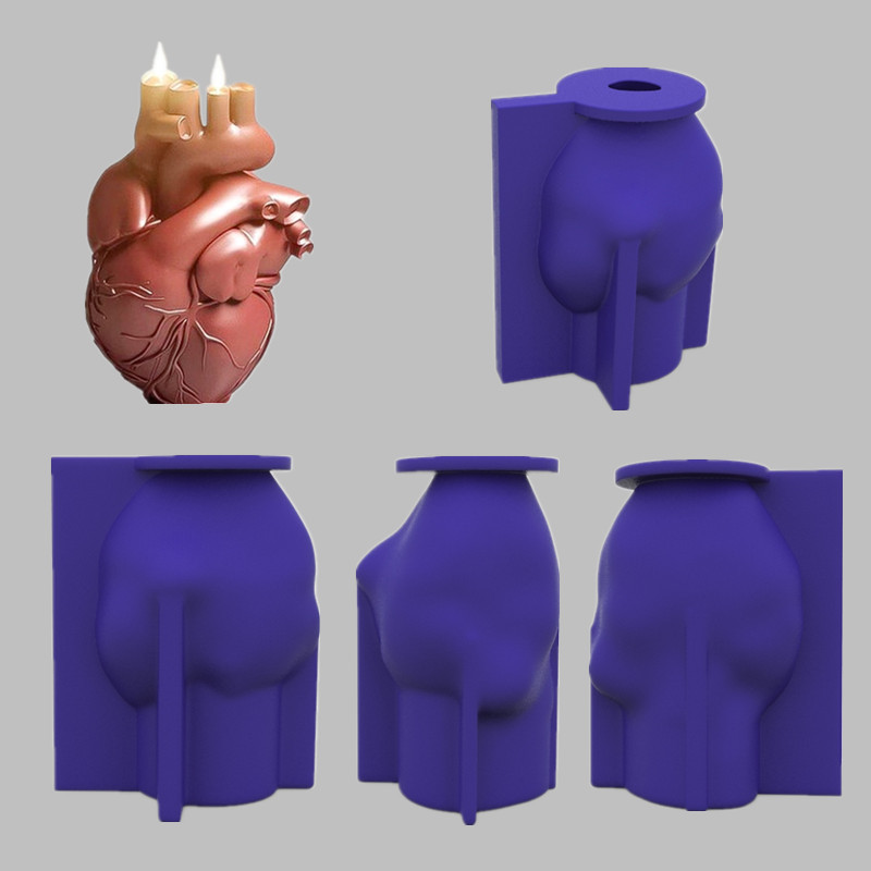Human heart anatomical 3D silicone mold