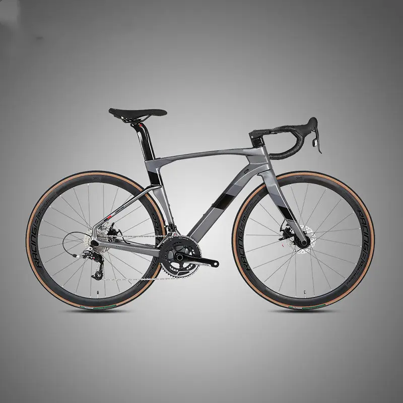 Fully Hidden Carbon Fiber Disc Brake Road