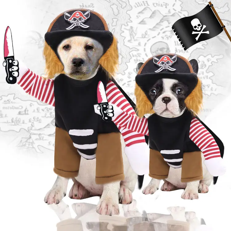 Pirates Turned Into Weird Pet Dogs Cats Halloween Day