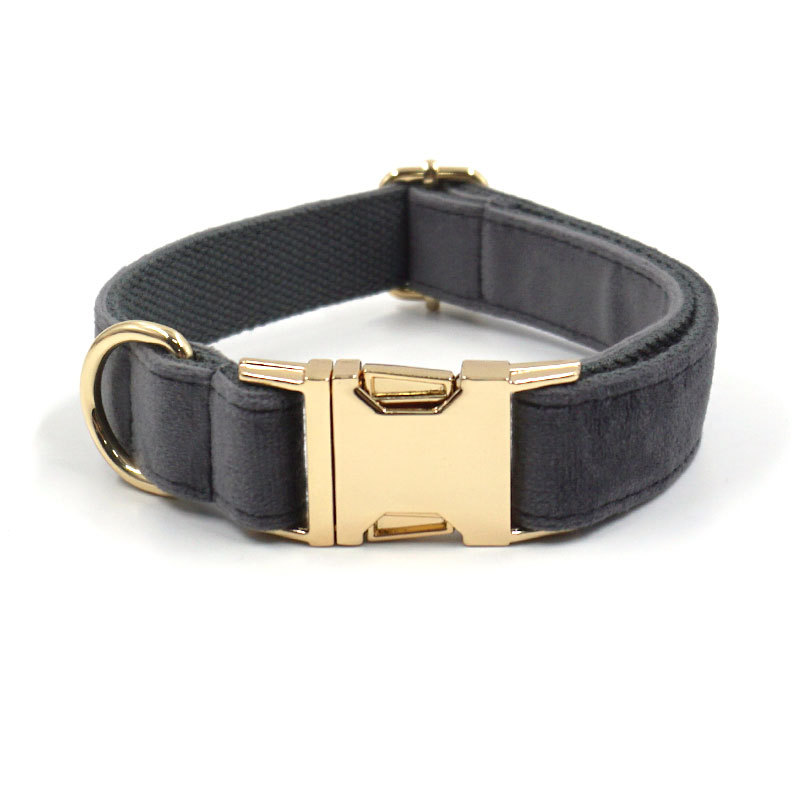 Gold Buckle Collar