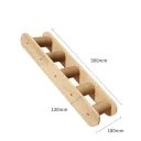 Cat Climbing Column Climbing L