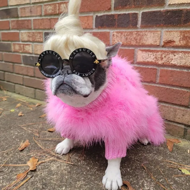 Lady Turkey Feather Warm Autumn And Winter Luxury Dog Sweater Pink - Shop at LoveMi