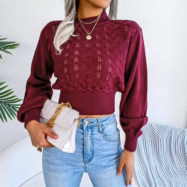 Women Street Style Solid Color Hollow Stripe Lantern Sleeve Cropped Sweater Burgundy - Shop at LoveMi
