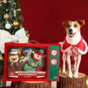 Puppy Gift Box