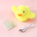 Yellow Duck