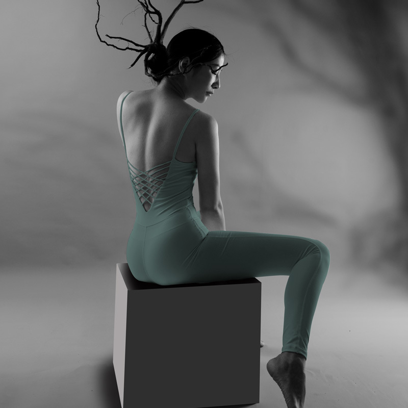 Aerial Yoga Suit One-Piece Suit Summer Tight Professional Sports Suit