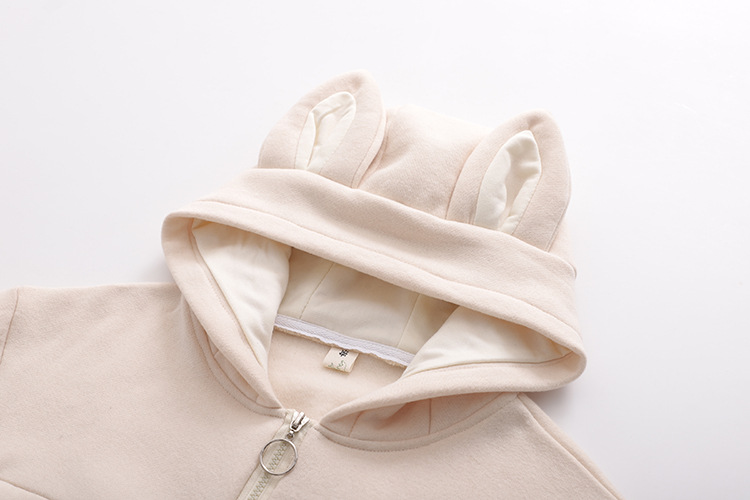 Title 1, Japanese Hooded Plus Fleece Sweater