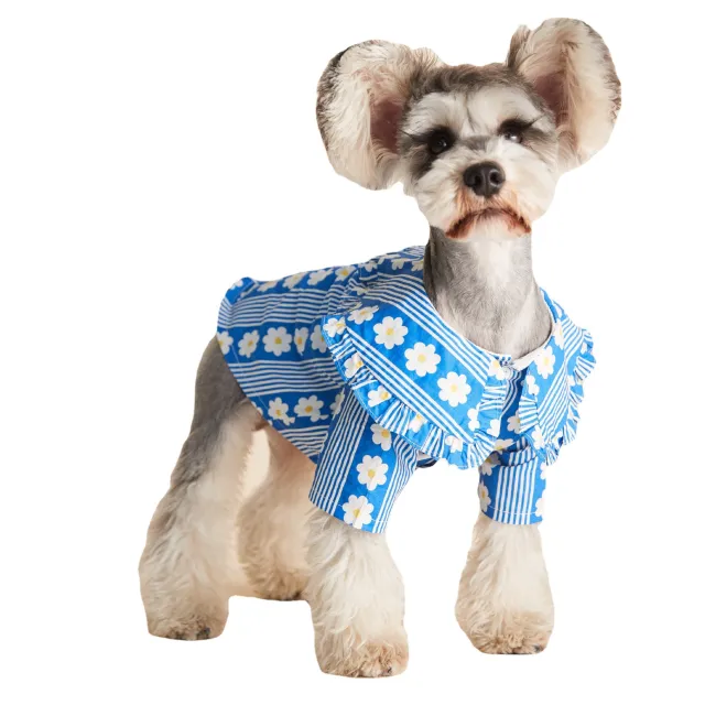 Dog Clothes Spring And Summer Thin Lotus Leaf Shirt Blue - Shop at LoveMi