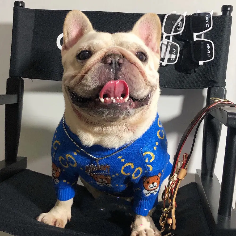 Autumn and Winter Fashion Dog Clothes