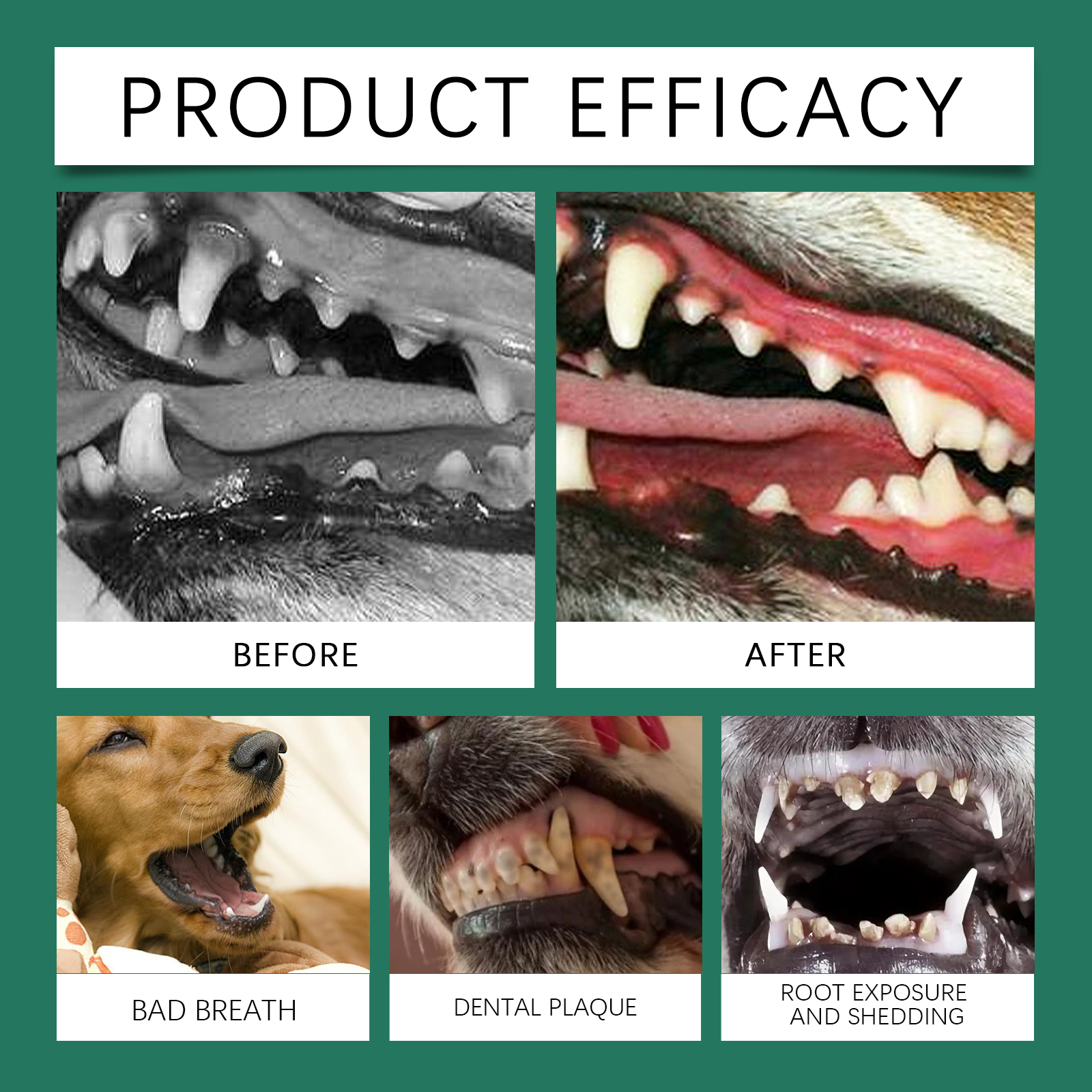 Dog Tooth Cleaning Powder 10
