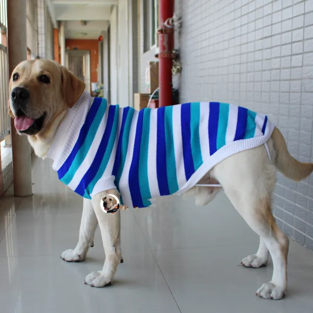 Clothes For Autumn And Winter Warm Dog Cotton Sweater Blue - Shop at LoveMi