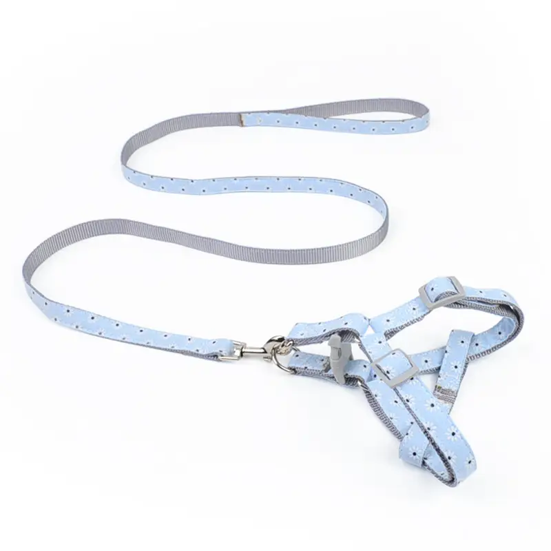 Walking The Dog With Traction Rope On  Chest And Back