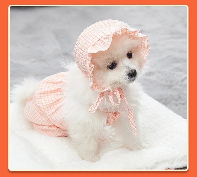 Title 6, Dog Clothes Set Orange Pet Jumpsuit With Hat Fa...