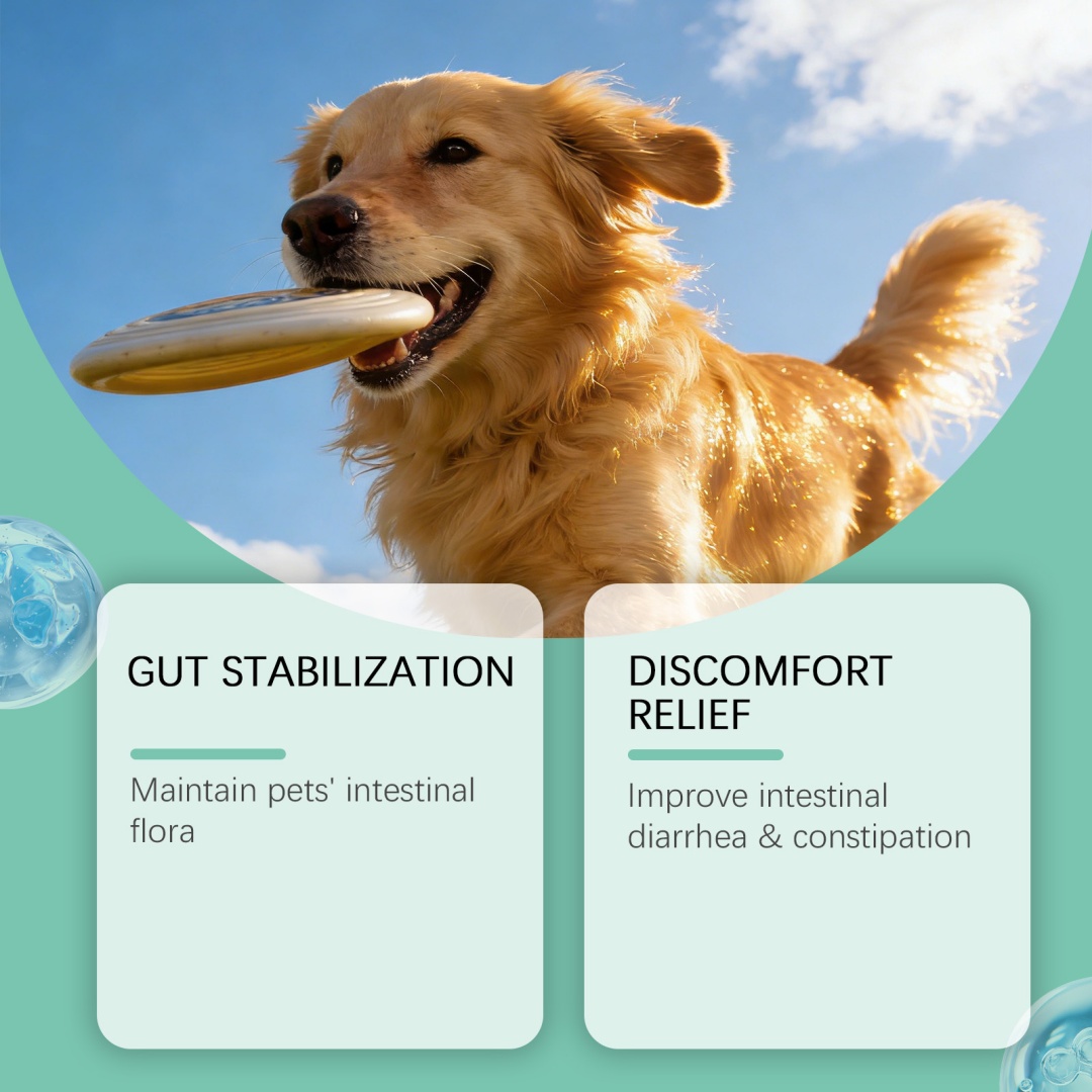 Dog Specific Breath Freshener Powder