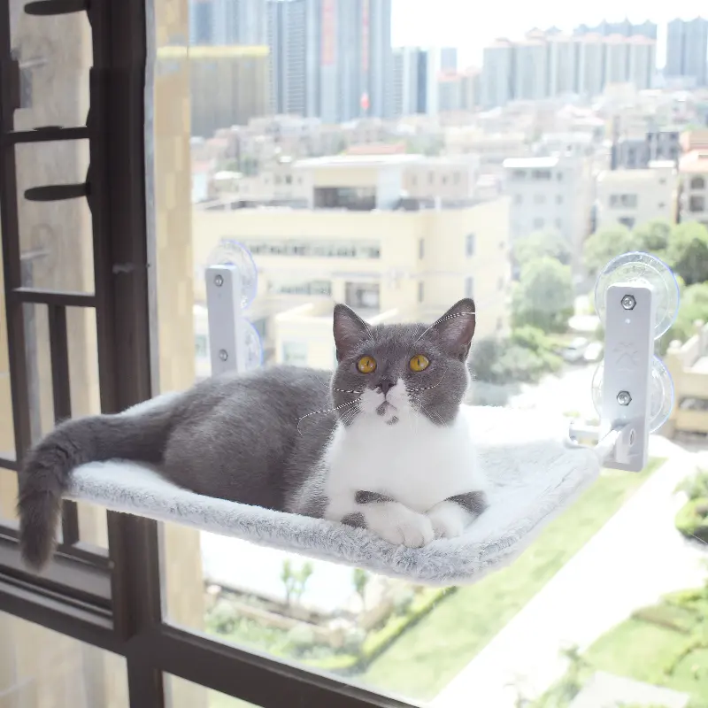 Cat Suction Cup Window Glass Hammock Pet