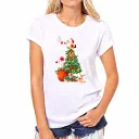 A-2Xl