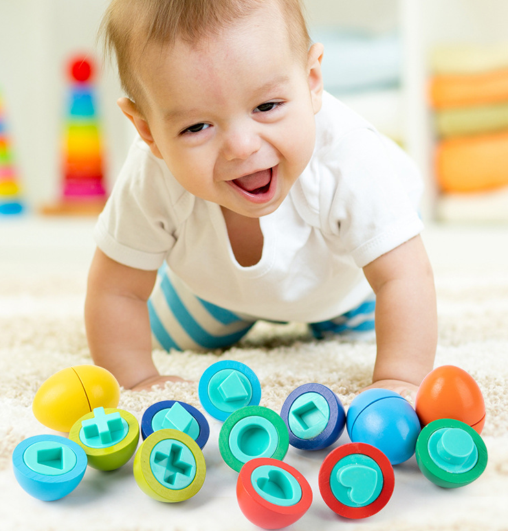 Color Cognition Wooden Simulation Egg Toy