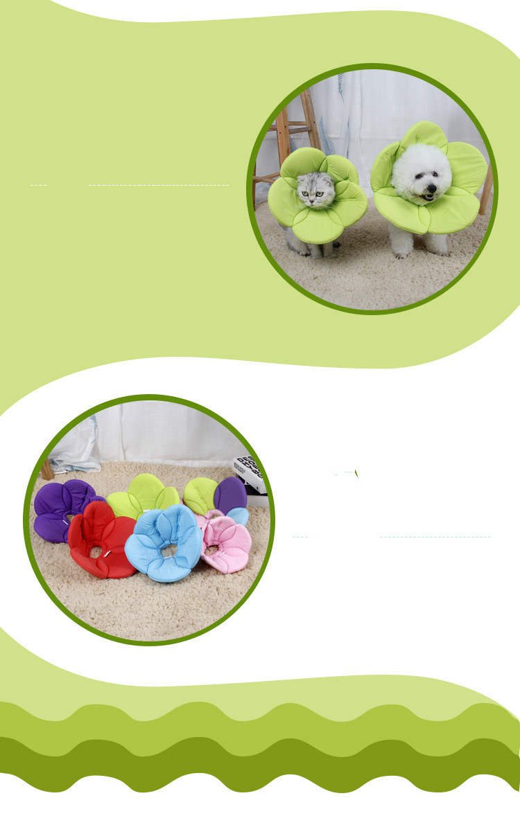 Title 5, Beauty flower anti-scratch pet protective cover...