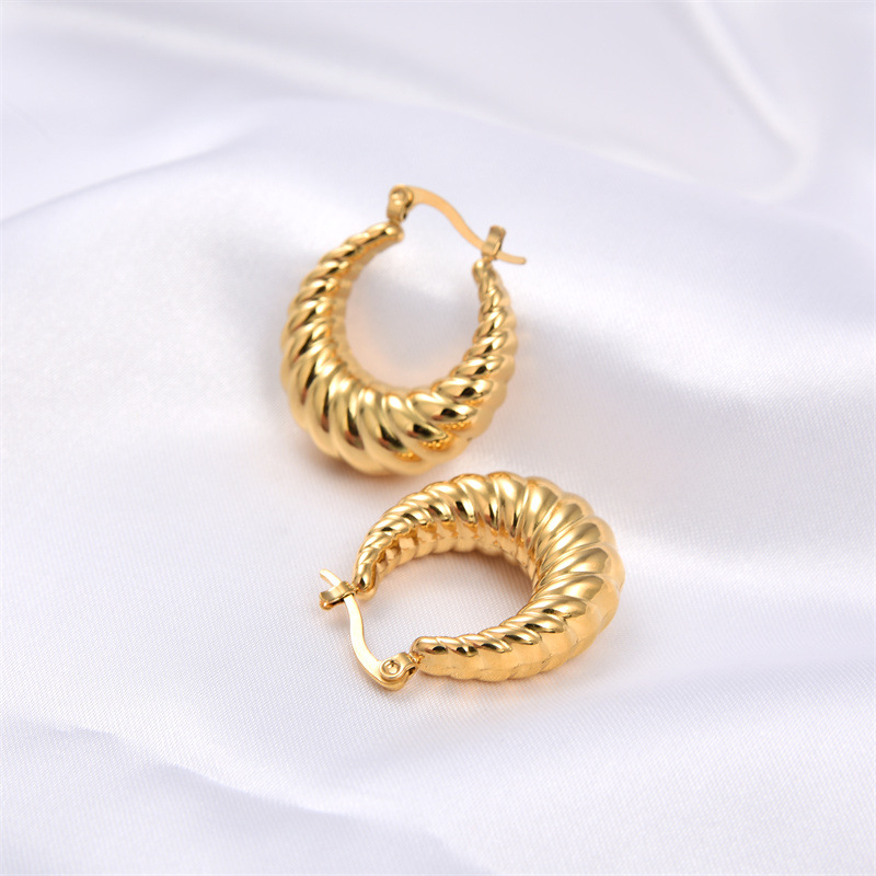 Women's Personality Simple Titanium Steel Earrings