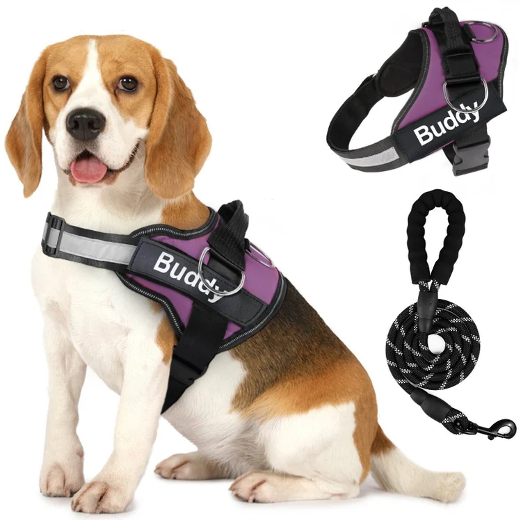 Pet Clothing Dog Couple Chest Strap Rope Purple - Shop at LoveMi