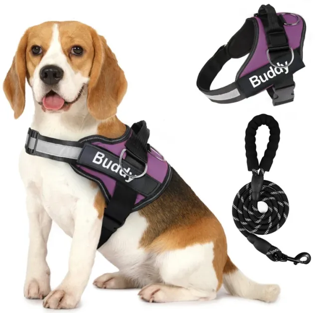 Pet Clothing Dog Couple Chest Strap Rope Purple - Shop at LoveMi