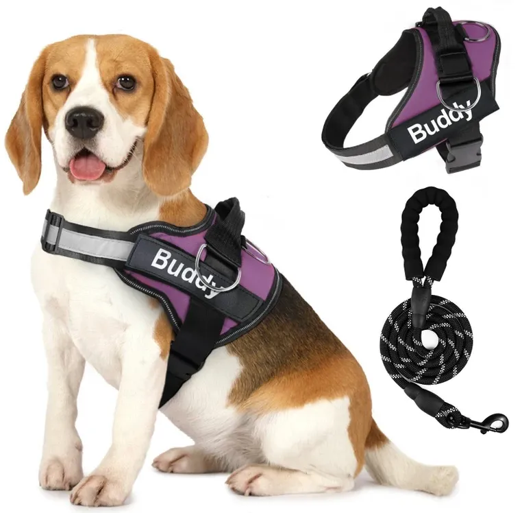 Pet Clothing Dog Couple Chest Strap Rope - Purple