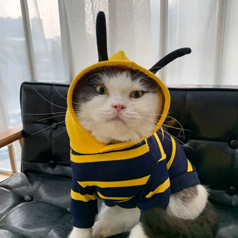 Winter Warm Clothes Cute Plush Coat Hoodies for Bulldog