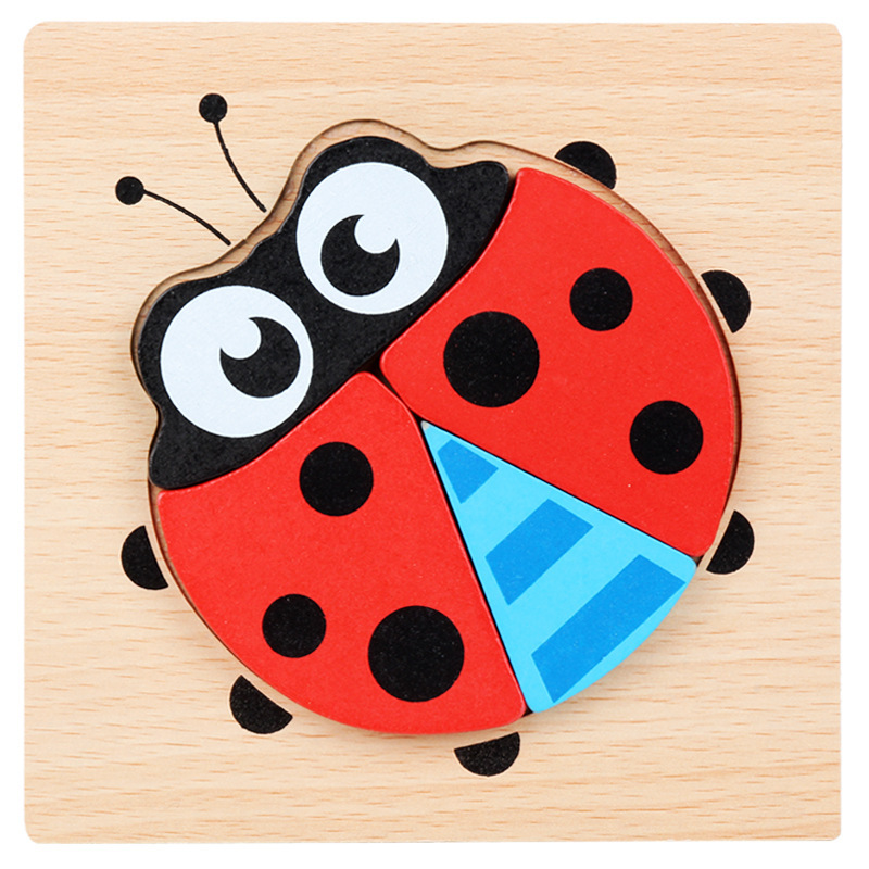 Ladybug1