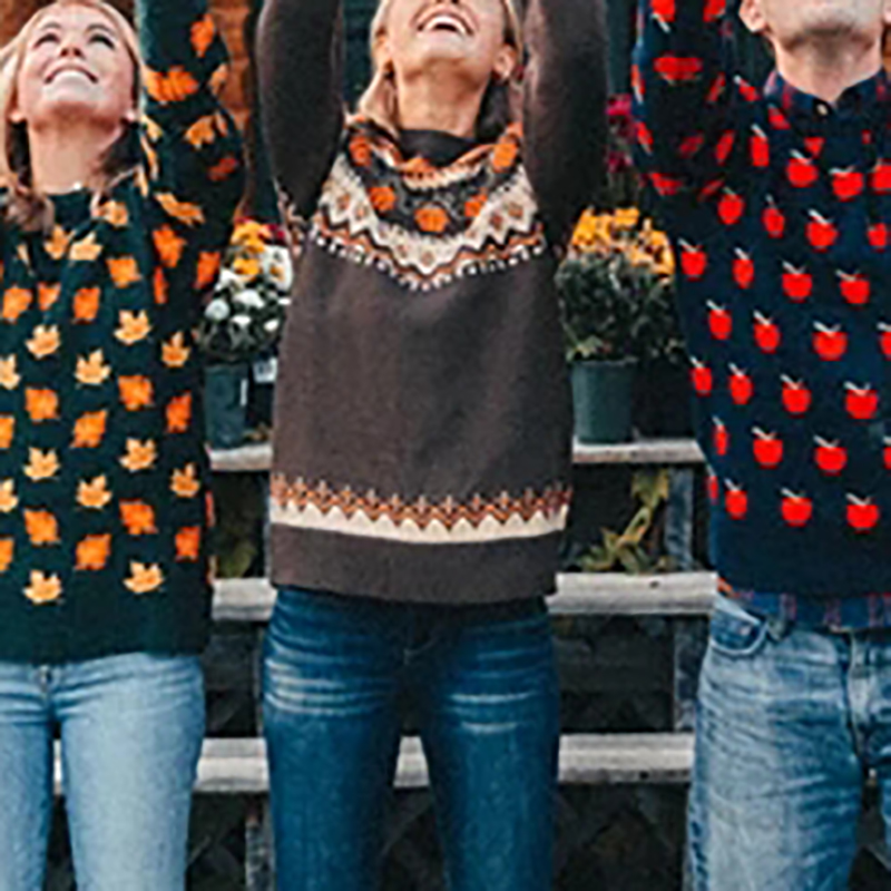 Women's Printed Skinny Pullover Knit Sweater