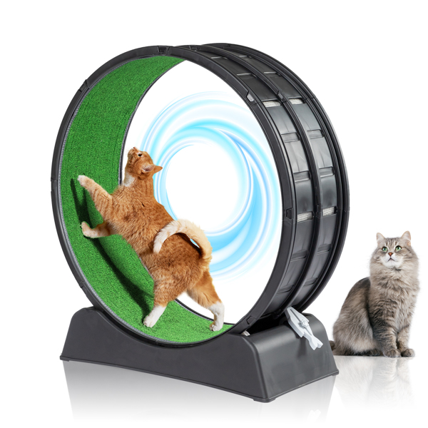 Black Plastic PP Splicing Type With Green Carpet 10kg Cat Treadmill