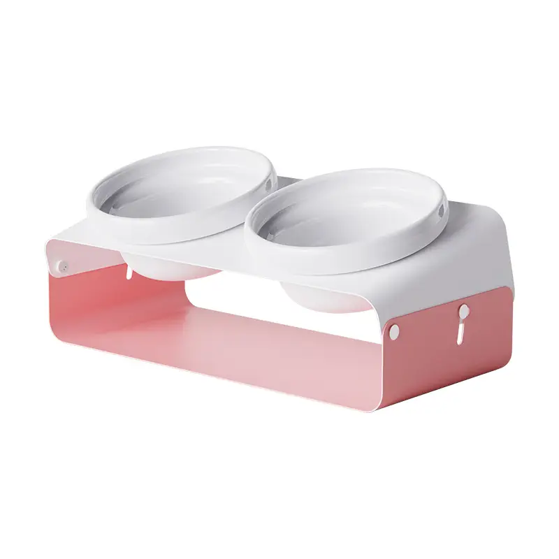 Pet Ceramic Slanting Double Bowl Anti-spill