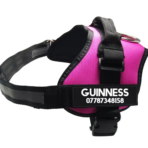 Strong Nylon Reflective Strip Pet Traction Chest