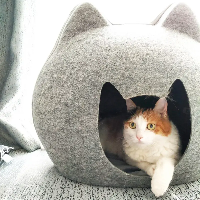 Four season universal pet cat house, summer
