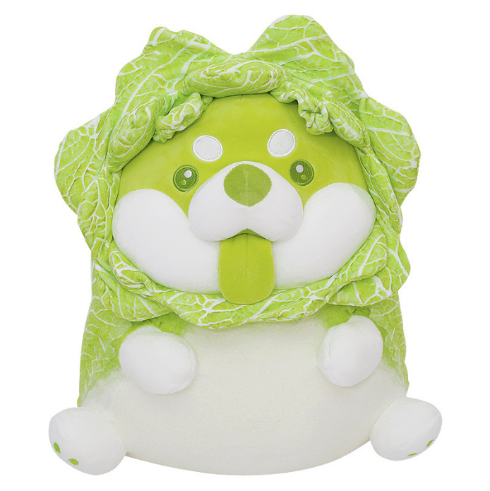 Sitting cabbage dog