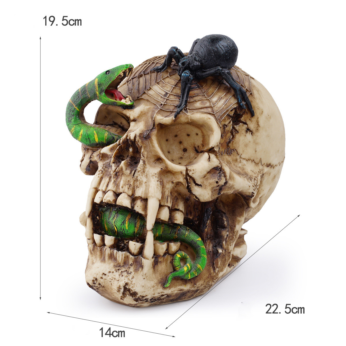 Resin skull human animal skull snake ornament halloween