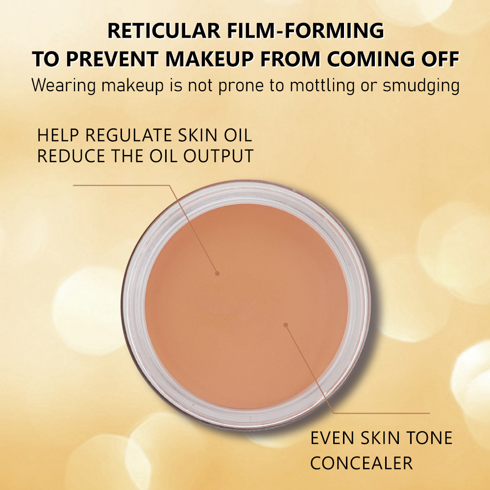 Upgraded Concealer, Professional Cover Cream For Acne Marks, Freckles, Dark Circles & Tattoos, Full Coverage Makeup Concealer, 6g