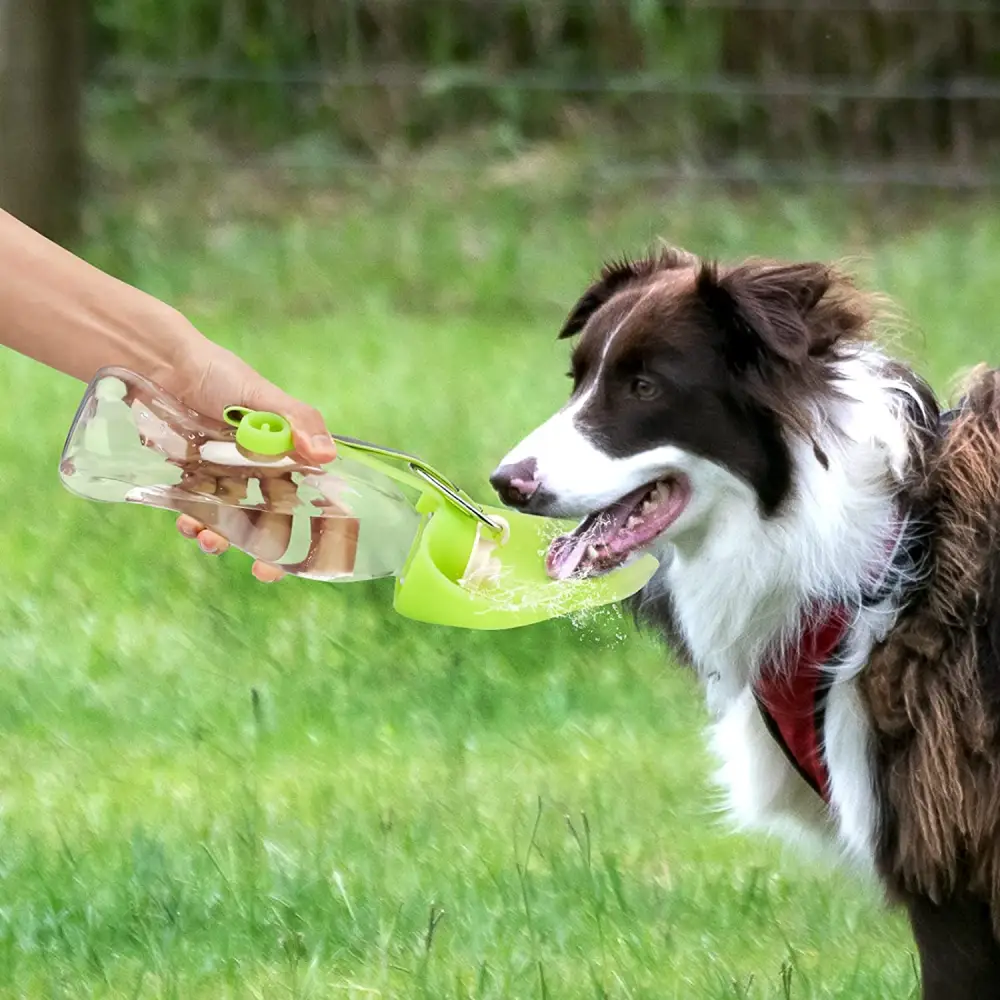 Portable Pet Water Dispenser Feeder Leak Proof with Drinking