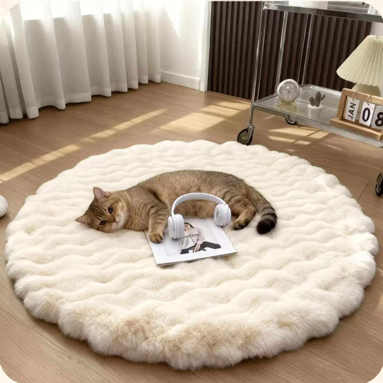 Cat Carpet