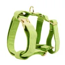 Dog Vest4