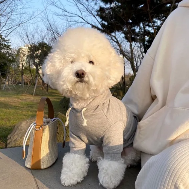 Fashion Simple Pet Dog Sweater Clothes - Grey