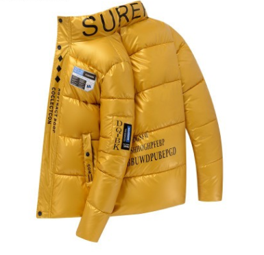 Title 4, Stand-up collar shiny down padded jacket