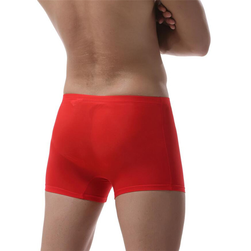 Title 2, Mens Ice Silk Underwear Transparent Elastic Br...